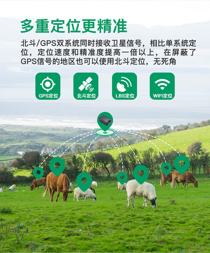 畜牧業(yè)牛羊馬定位器